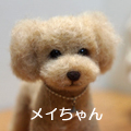 メイちゃん